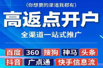 顶级SEM服务公司案例解析